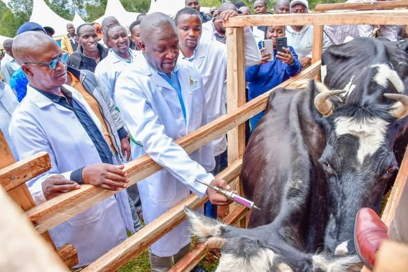 Sliding Image Placeholder